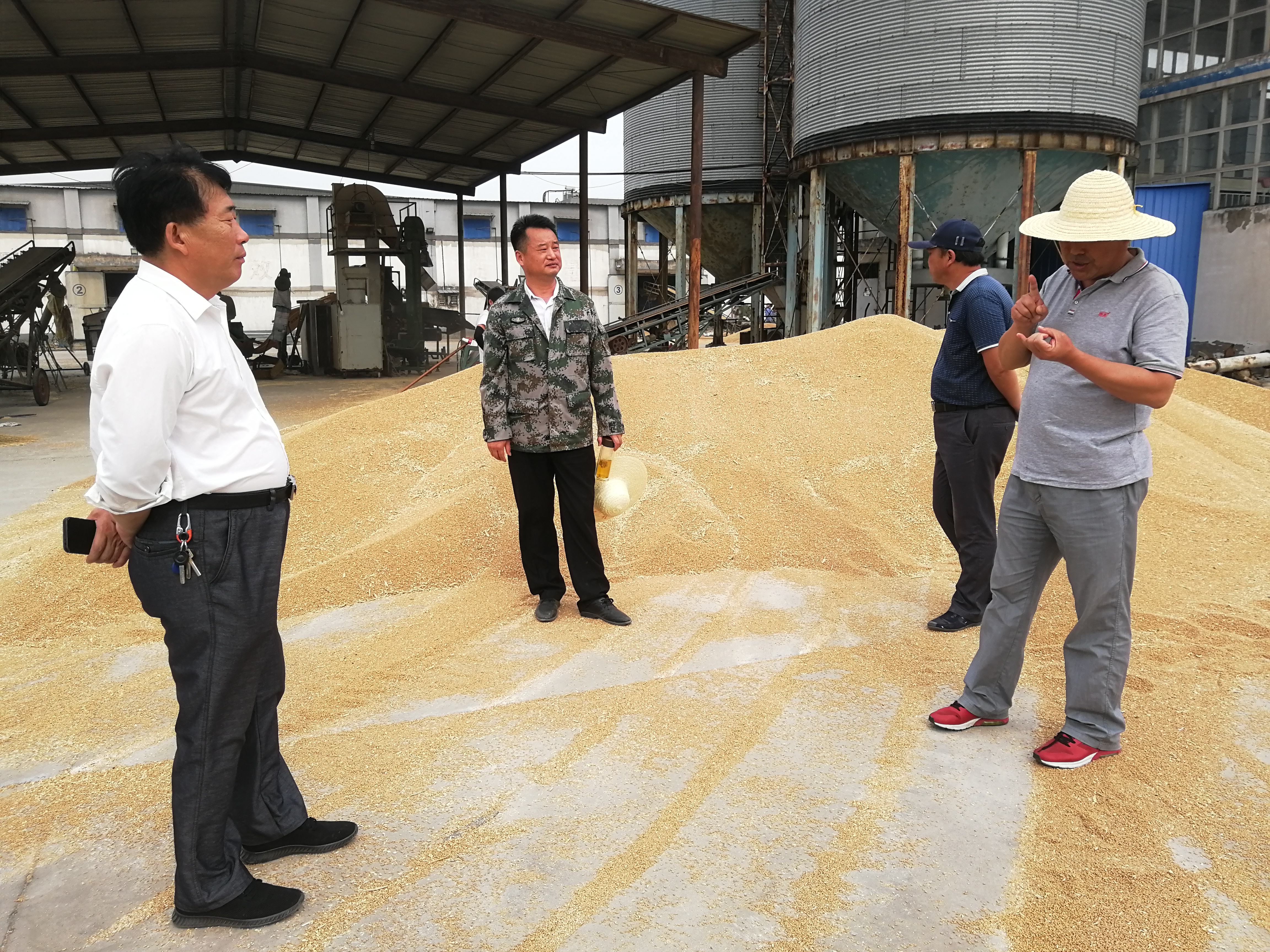 東風(fēng)湖農(nóng)場(chǎng)公司領(lǐng)導(dǎo)再次來毛集分公司指導(dǎo)午收工作