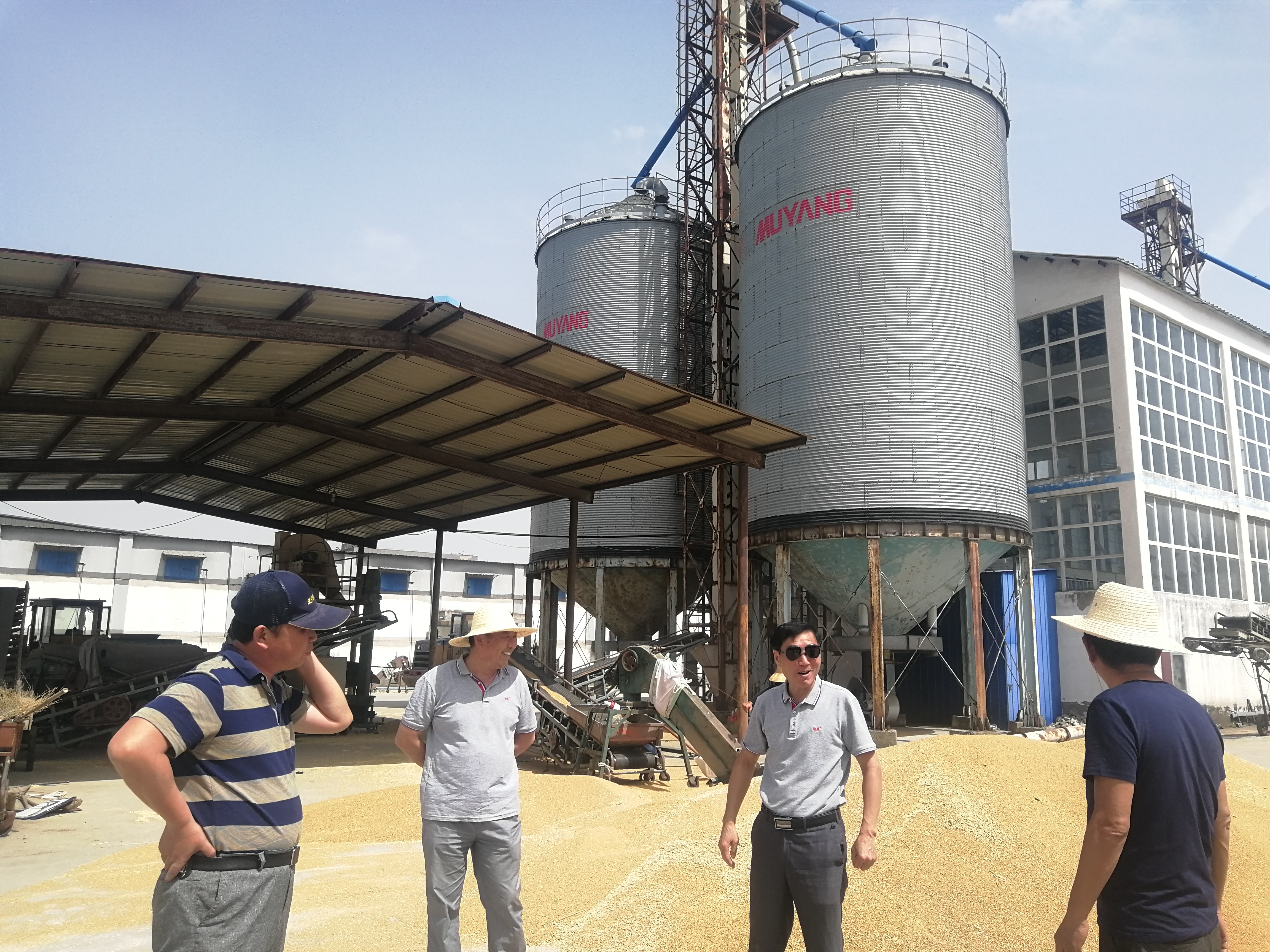 壽西湖農(nóng)場(chǎng)公司領(lǐng)導(dǎo)到毛集分公司調(diào)研