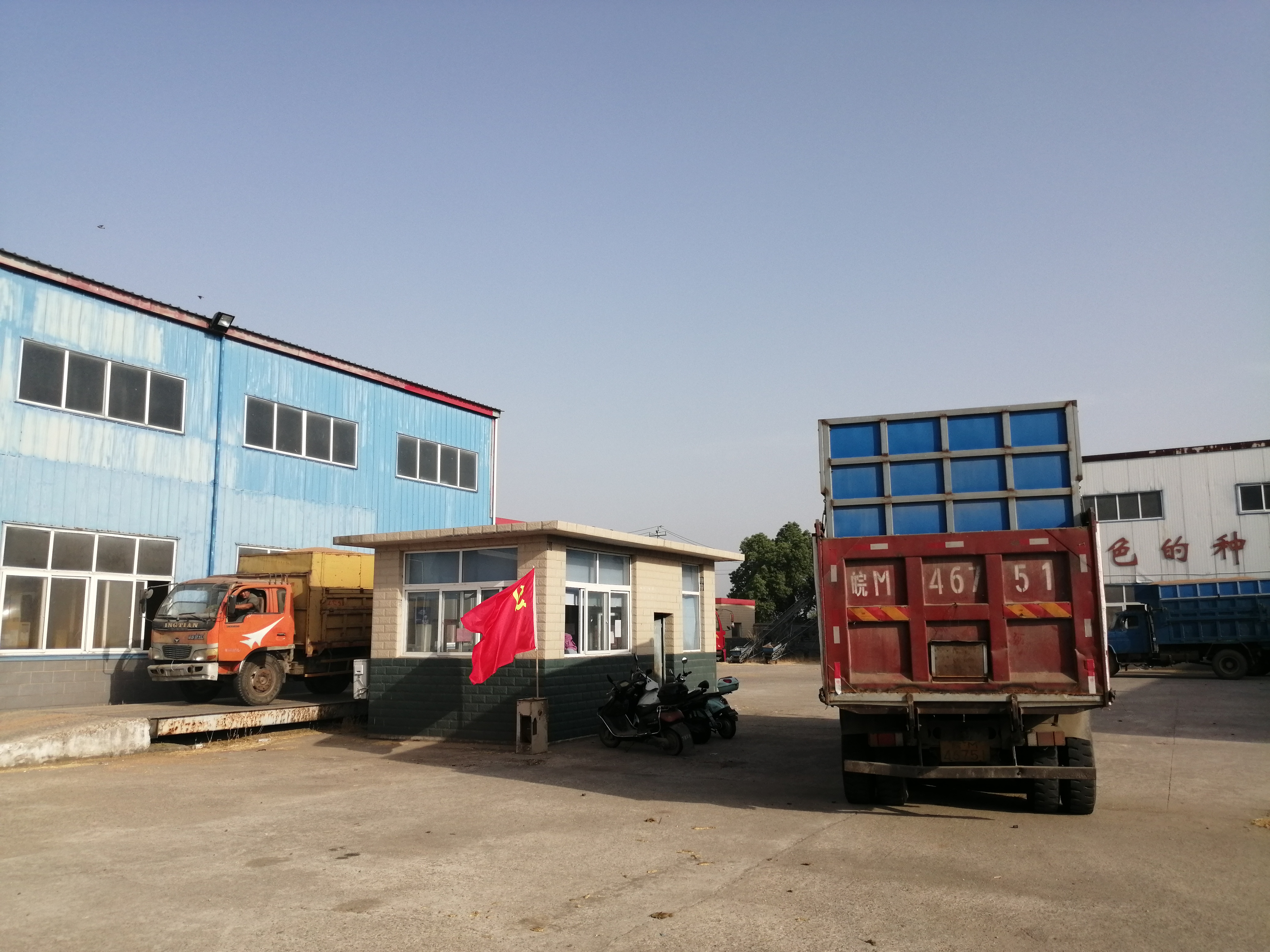 天長(zhǎng)分公司：“亮身份、做表率”助力午收攻堅(jiān)戰(zhàn)