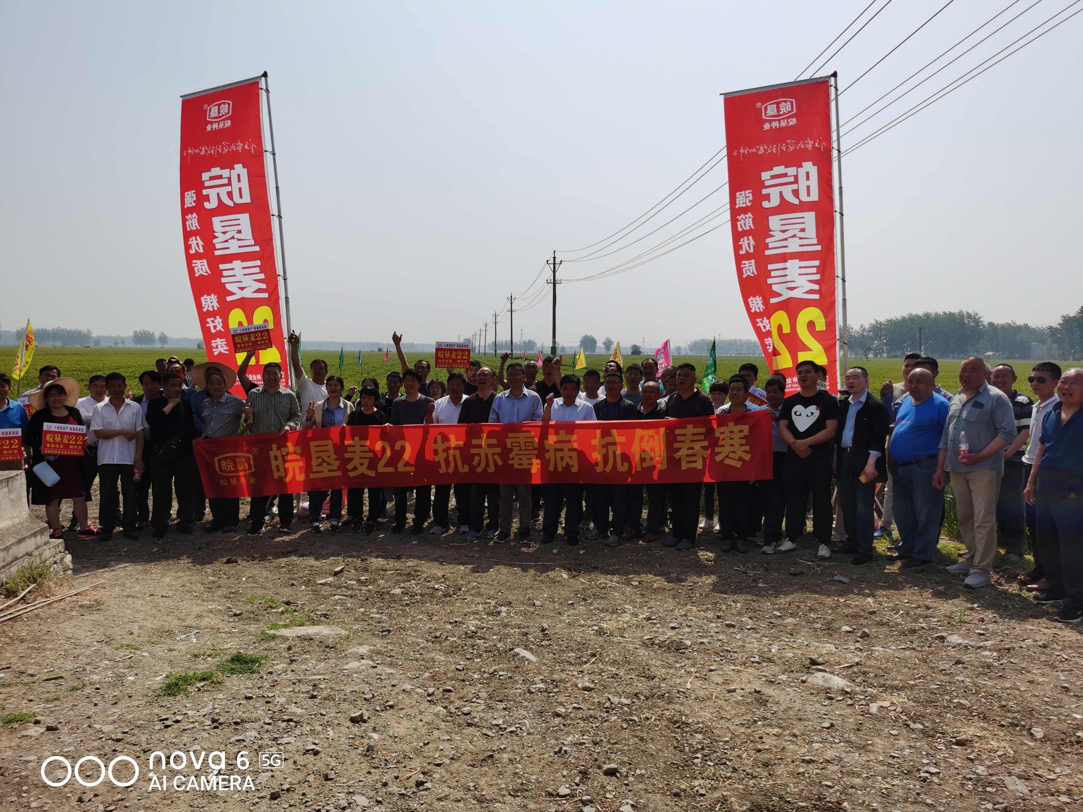 ?以品種促宣傳，以品質(zhì)促發(fā)展 皖墾種業(yè)召開淮麥44、皖墾麥22品種觀摩交流會